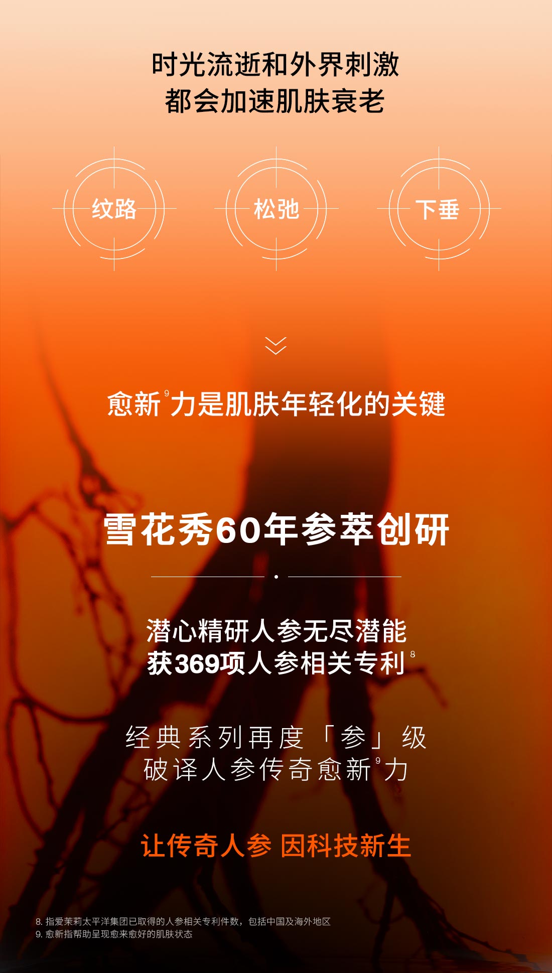 第六代 博天堂官方网站人参霜