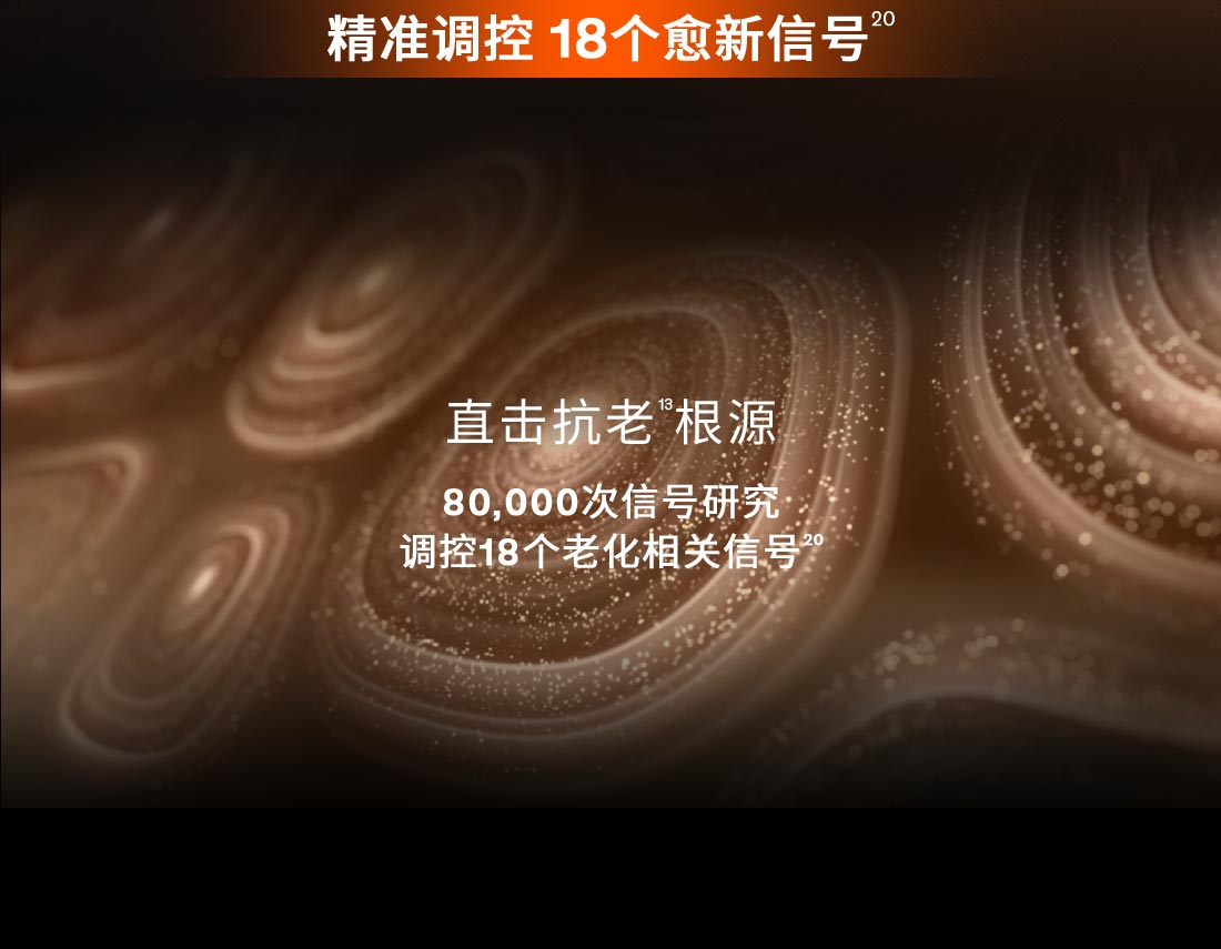 第六代 博天堂官方网站人参霜