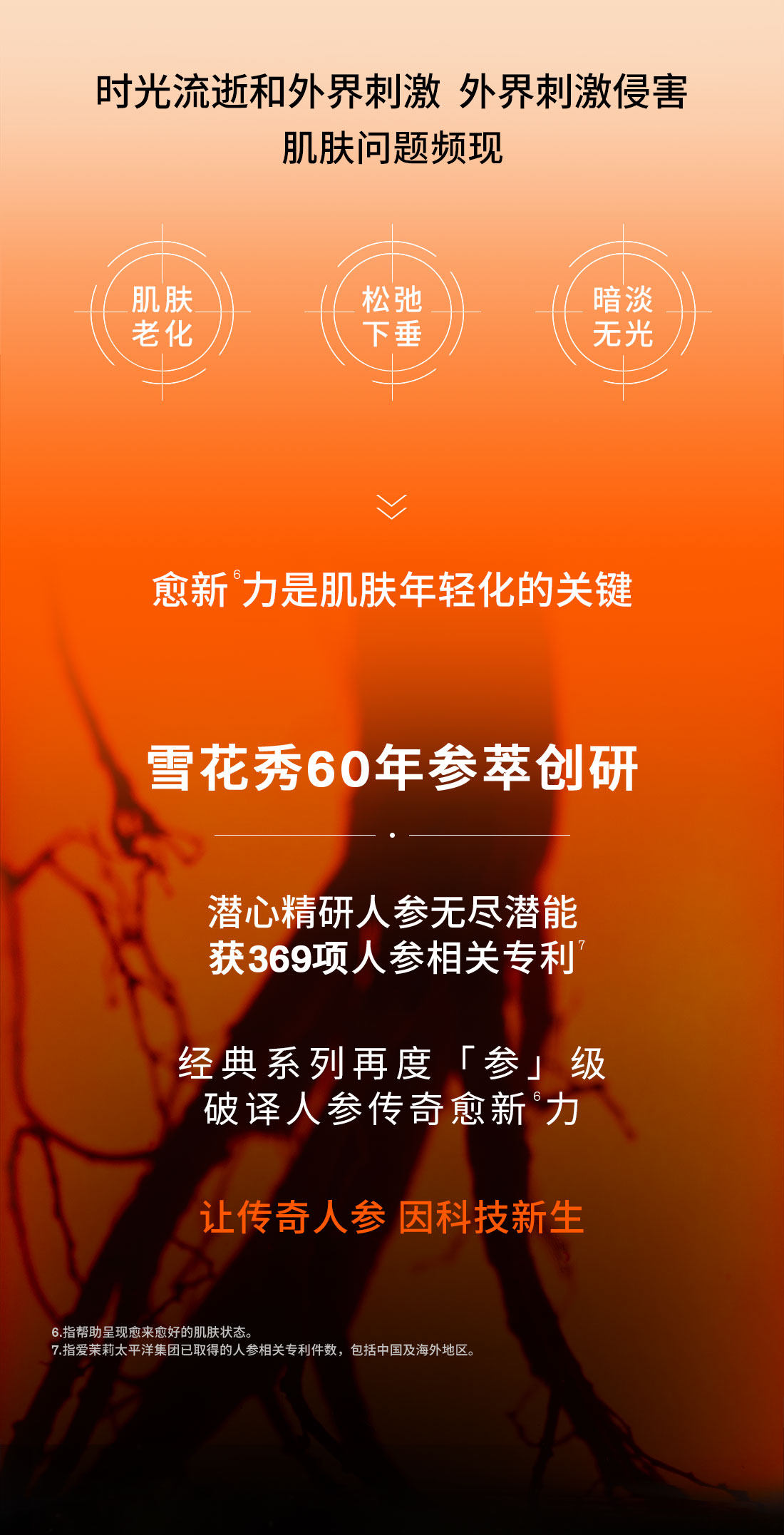 第六代 博天堂官方网站人参霜