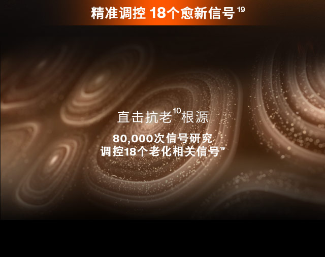 第六代 博天堂官方网站人参霜
