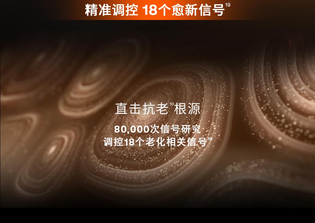 第六代 博天堂官方网站人参霜